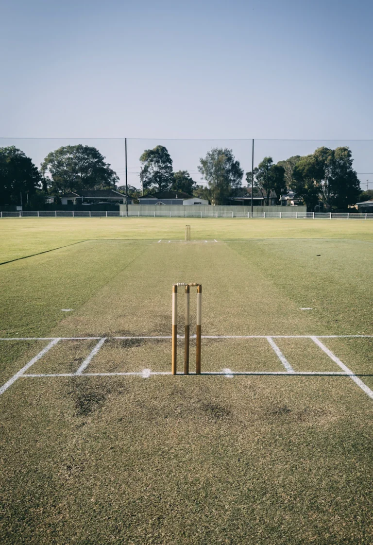 Cricket pitch and stumps